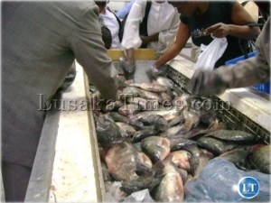 Inside one of Lusaka's Fish markets Inside one of Lusaka's Fish markets